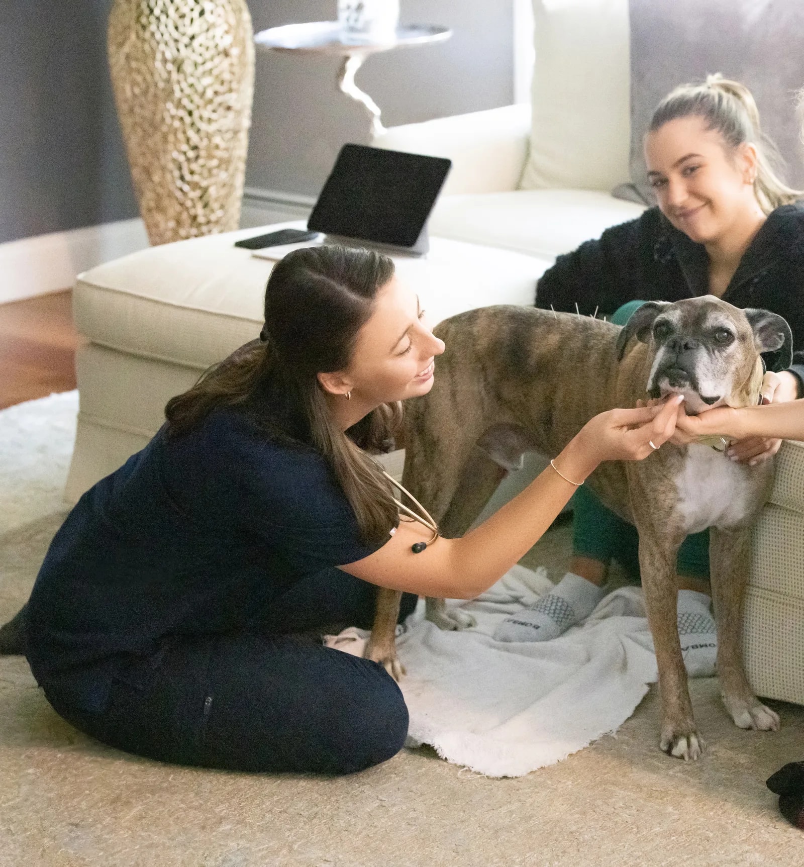 Two members of the care team kneeling beside a senior dog during a home visit, one offering a treat