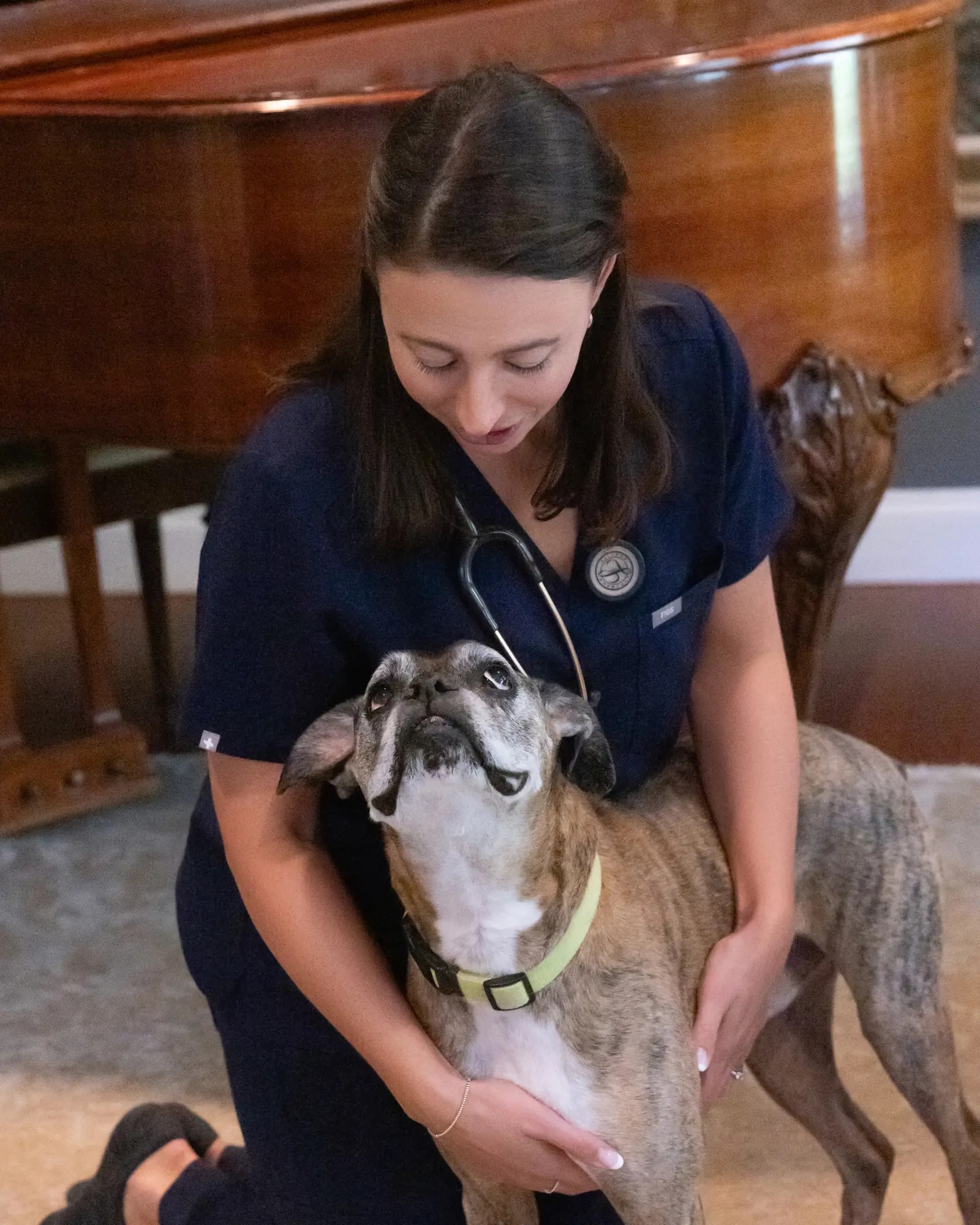 Dr. McCaffrey kneeling and nuzzling a brindle dog who looks up at her in a warm wood-paneled room