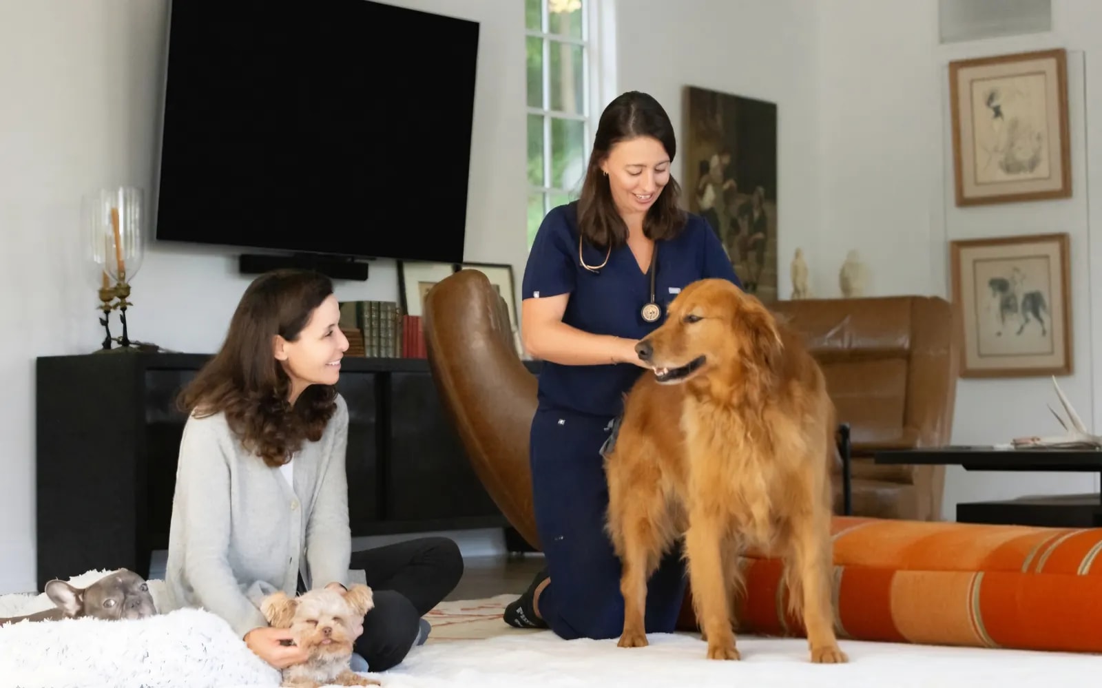A woman sits with a French Bulldog and Yorkie in her lap while Dr. McCaffrey crouches to greet a golden retriever standing nearby