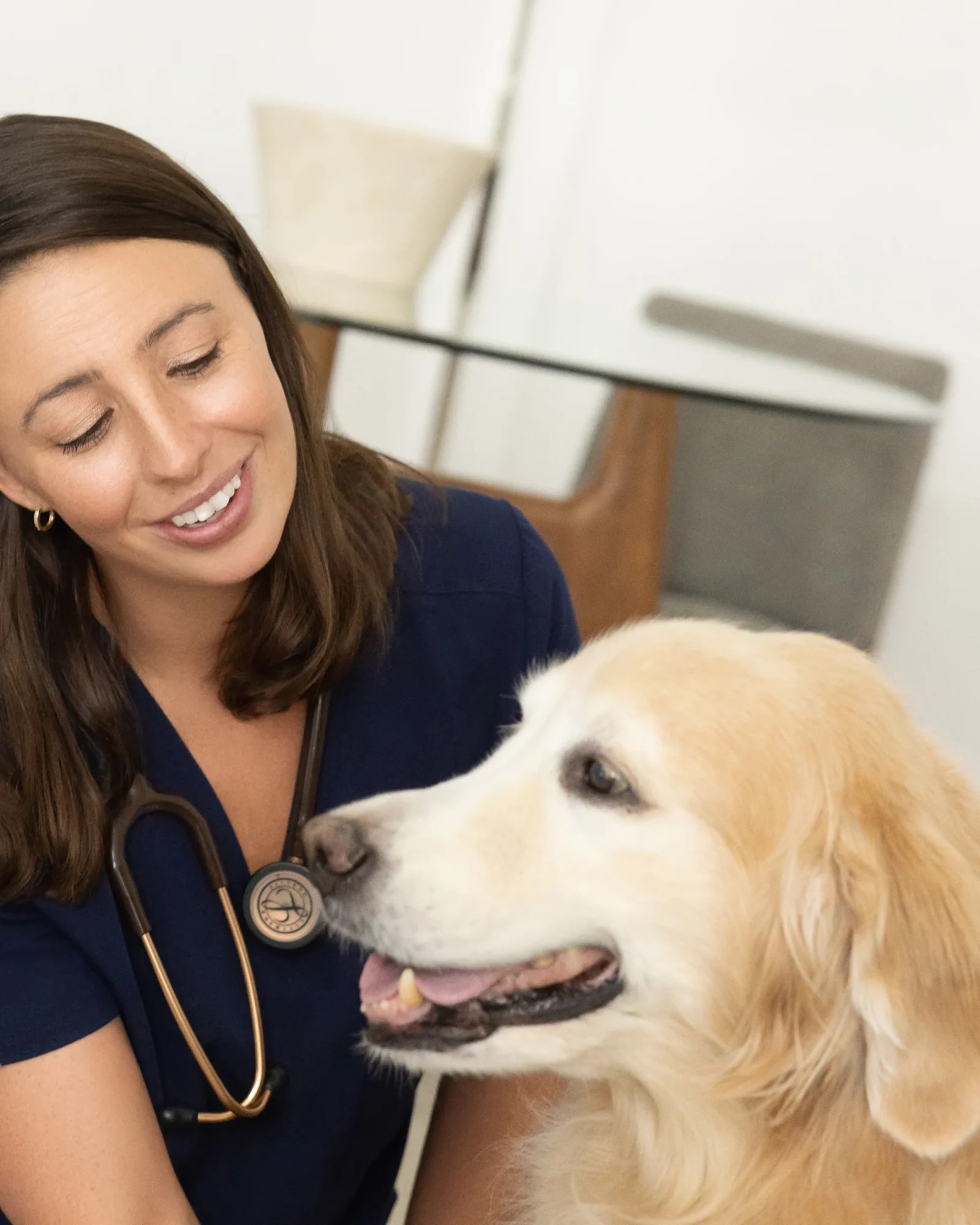 Dr. McCaffrey smiling down at a senior golden retriever during an in-home visit