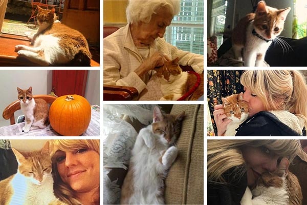 Penny Lane, a beloved family cat, with her people
