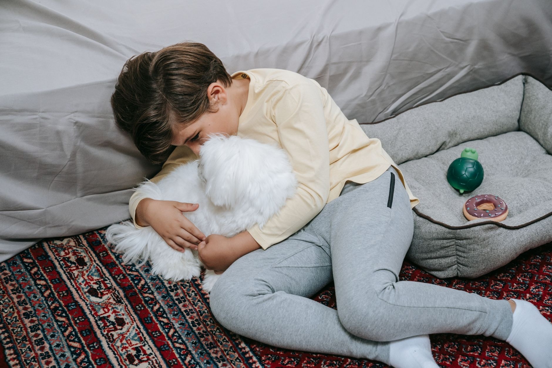 A young boy lovingly hugging his small white dog at home