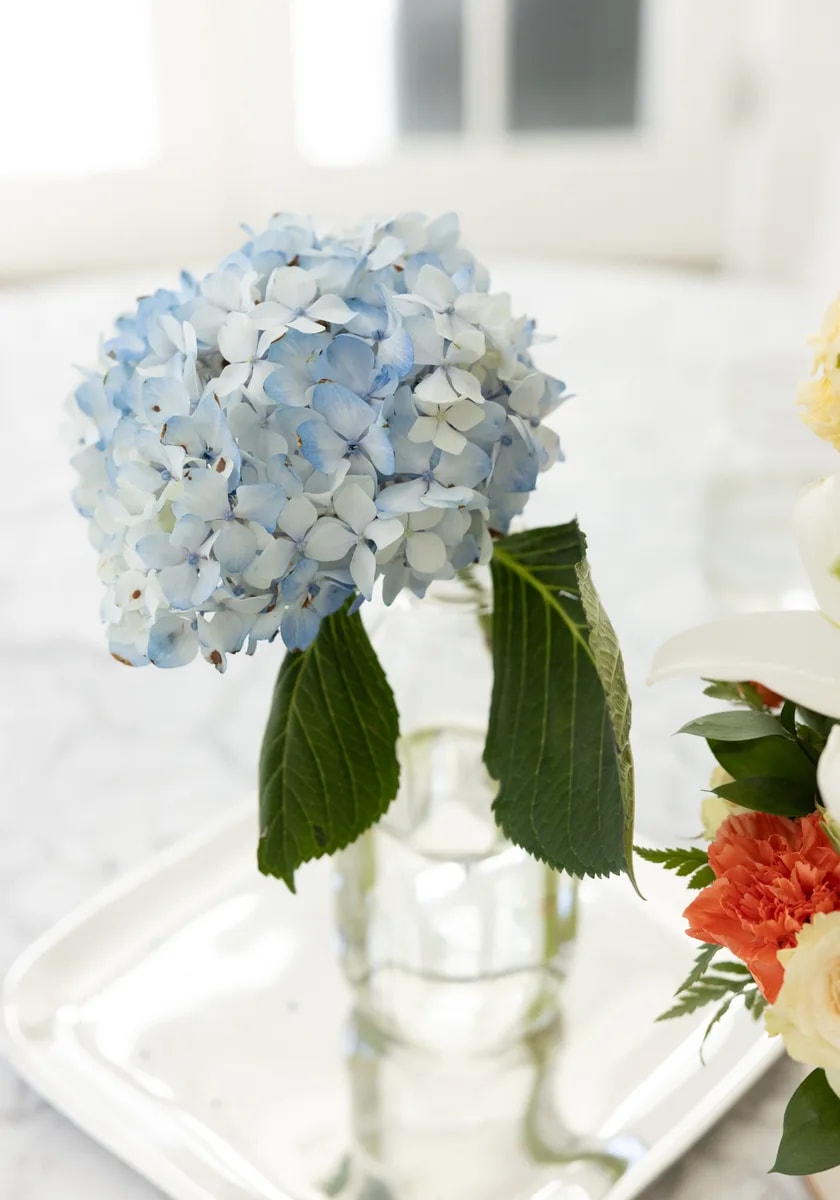 A vase of fresh flowers on a tray, a calm still life at home