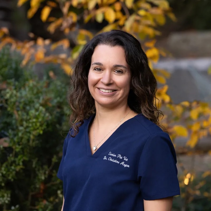 Dr. Christine Asgar, veterinarian at Senior Pet Vet