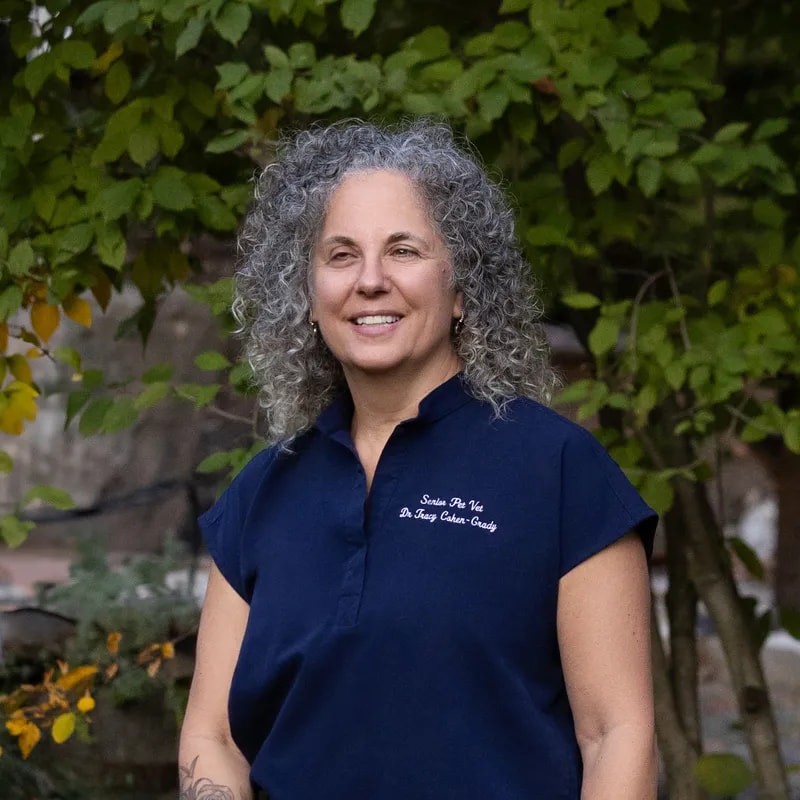 Dr. Tracy Cohen-Grady, veterinarian at Senior Pet Vet