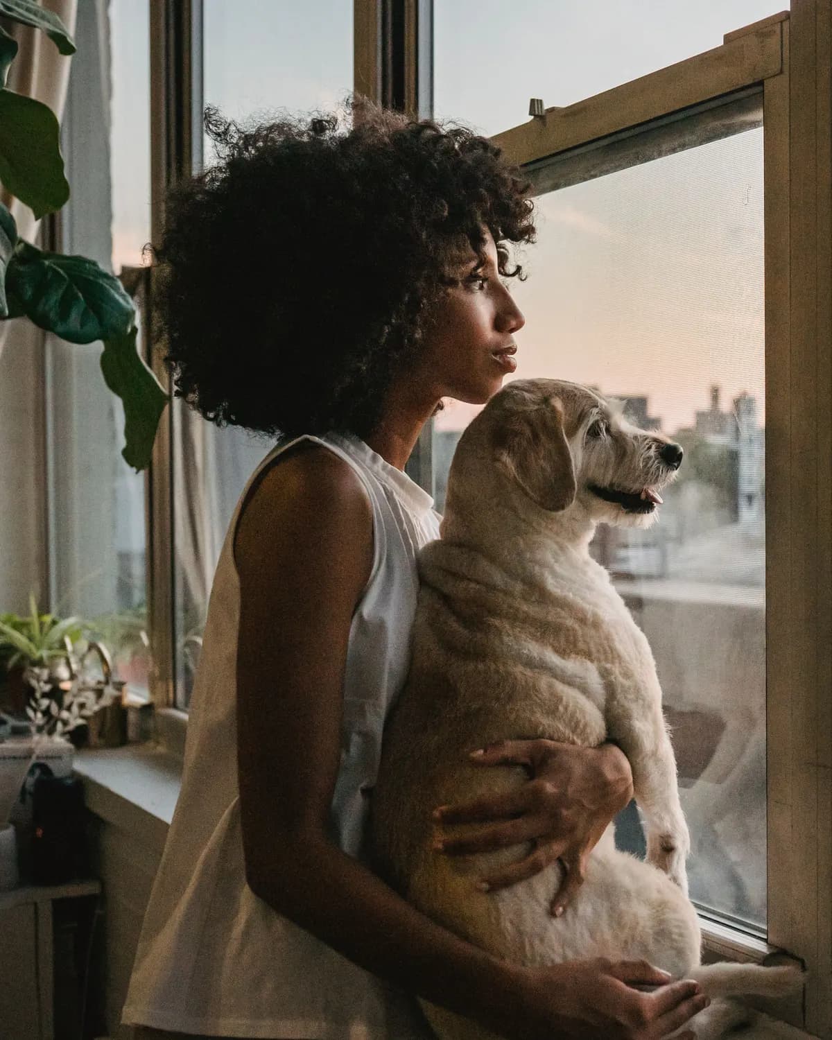 A woman tenderly holding her dog by a window at sunset