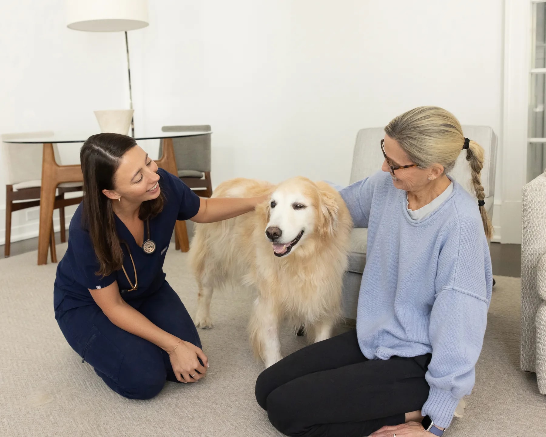 A veterinarian in navy scrubs and a pet owner both reaching out to pet a senior golden retriever in a bright living room